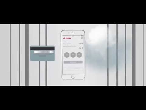 Cepsa Pay