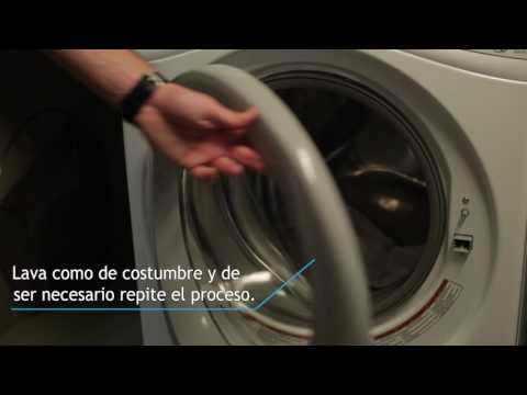¿Cómo eliminar manchas de sudor y desodorante?