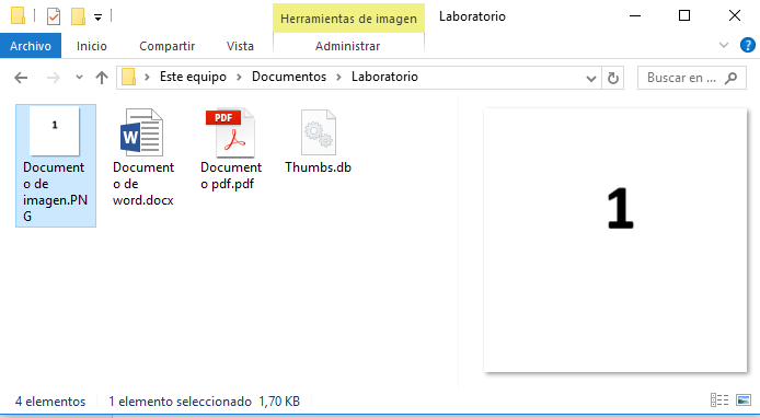 no-puedo-eliminar-pdf-porque-esta-abierto-y-no-lo-tengo-abierto