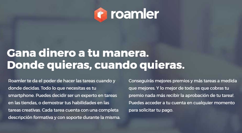 Ideas para ganar dinero en la red roamler