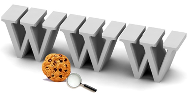 Qué es una cookie en internet y por qué se llaman así cookies