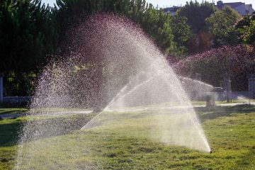 Cómo ahorrar agua en el riego de tu jardín portada