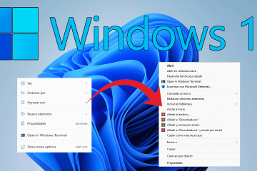 Mostrar menú contextual completo en Windows 11